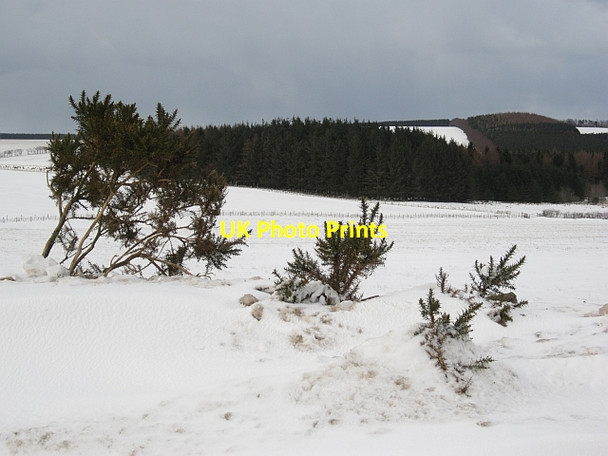Photo 6"x4" Snow drifts, Blackerstone Moor Abbey St Bathans c2013