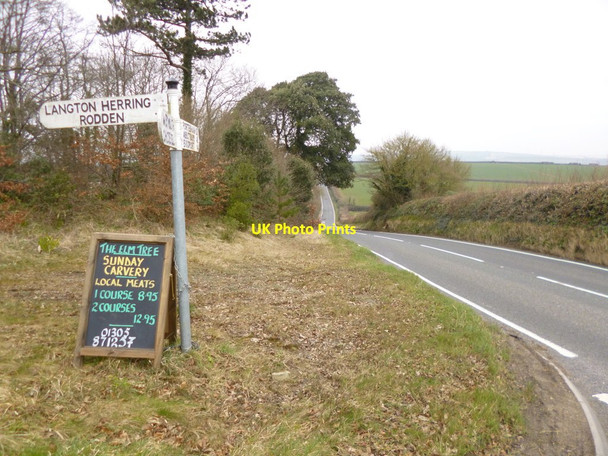 Photo 6"x4" Langton Cross, fingerpost Langton Herring c2013