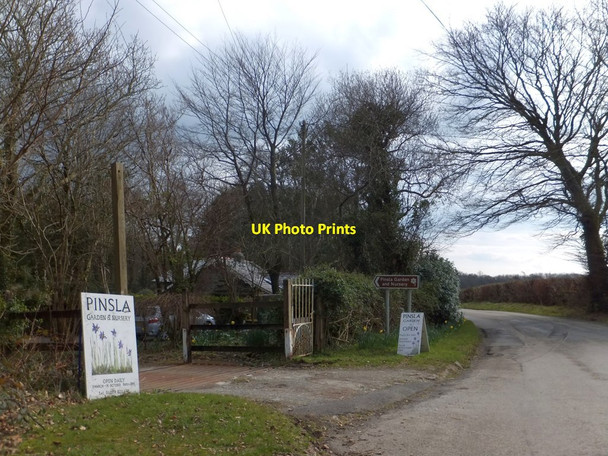 Photo 6"x4" Pinsla garden centre and nursery Fletchersbridge c2013