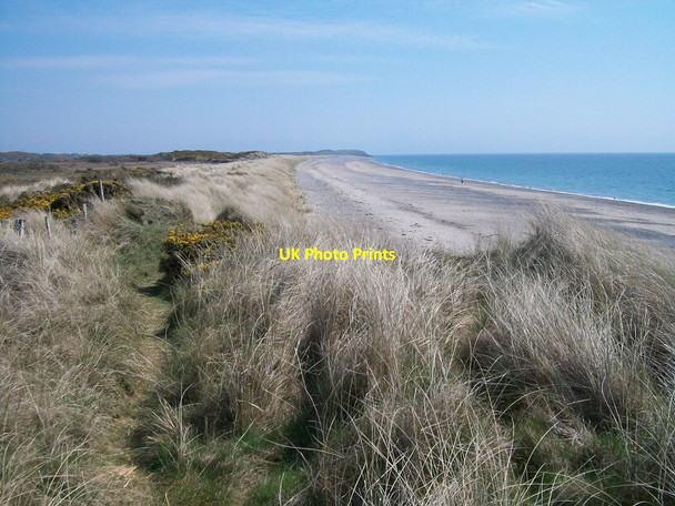 Photo 6"x4" Dunes behind the beach at Morfa Abererch Abererch c2008