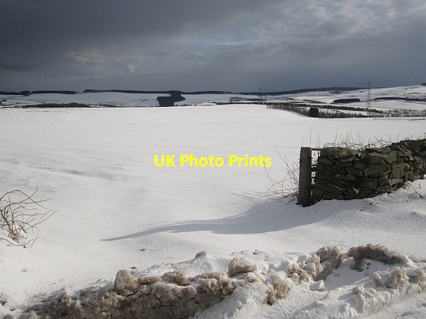 Photo 6"x4" Snow covered fields, Blackerstone Abbey St Bathans c2013