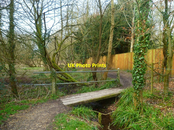 Photo 6"x4" Path with footbridge in Abbots Worthy Abbots Worthy c2013