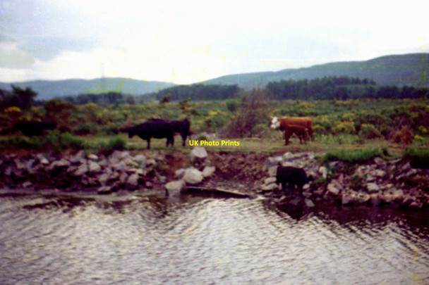 Photo 6"x4" Dochgarroch - 1976 Lochardil c1976
