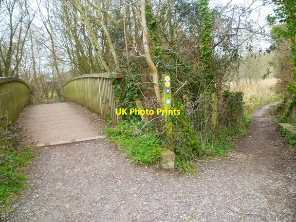Photo 6"x4" Itchen Way (108) St Cross c2013