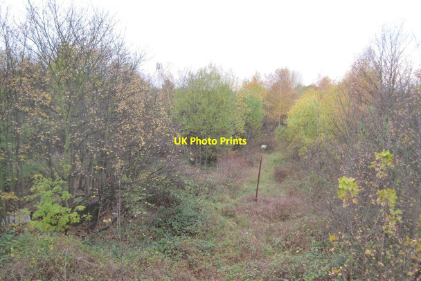 Photo 6"x4" Bedford St. Johns railway station (site) Bedford\/TL0549 c2010