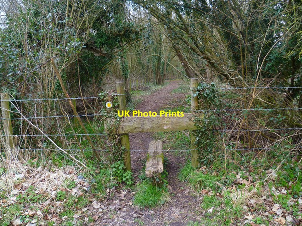Photo 6"x4" Itchen Way (126) Winchester c2013