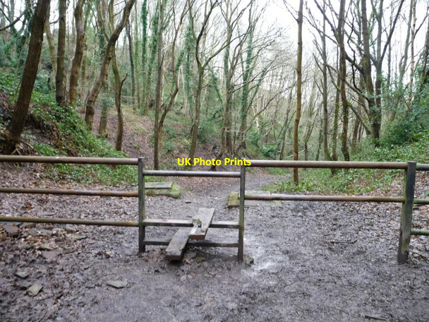 Photo 6"x4" Public footpath through former quarry Kingswood\/ST6473 c2013