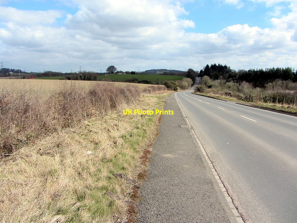 Photo 6"x4" Hexham Road west of Howdene Burn Horsley\/NZ0966 c2013