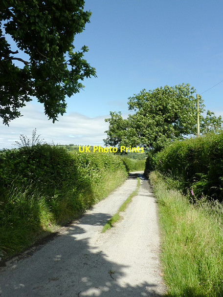 Photo 6"x4" Farm road south of Llwyn-y-groes, Ceredigion Betws Bledrws c2012