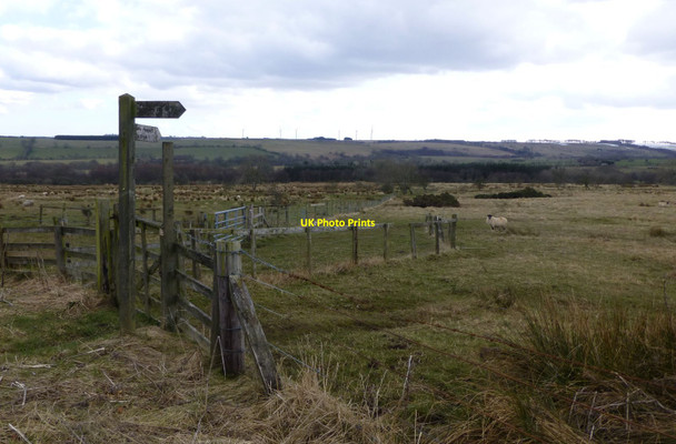 Photo 6"x4" Public footpath to The Crook Knocklaw c2013