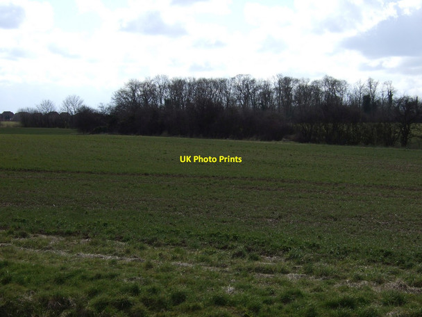 Photo 6"x4" Farmland off Great Coates Road  Great Coates c2013