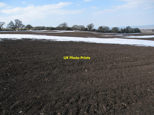 Photo 6"x4" Ploughed field and woodland Glan-yr-afon\/SJ1181 c2013