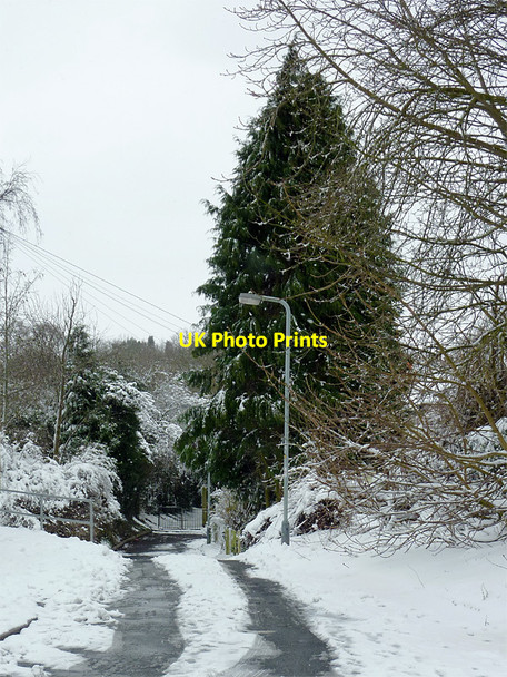 Photo 6"x4" Footpath on Goldthorn Hill, Wolverhampton Wolverhampton c2013
