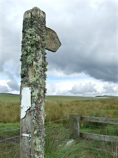 Photo 6"x4" Sign for Sarn Helen, Coed y Rhaiadr Coelbren c2008