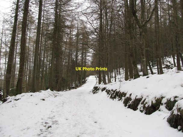 Photo 6"x4" Snow covered forestry road above Parnell's Bridge Kilcoo c2013