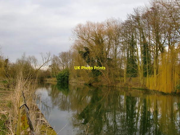 Photo 6"x4" The River Lee at Fishers Green Cheshunt c2013