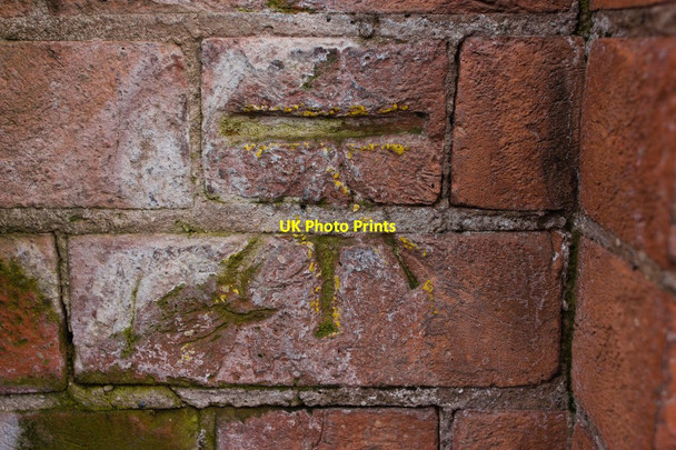 Photo 6"x4" Cut Bench Mark, Princes Dock Street Kingston upon Hull c2013