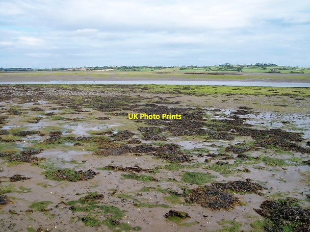 Photo 6"x4" Low water in Inner Dundrum Bay Dundrum\/J4036 c2012