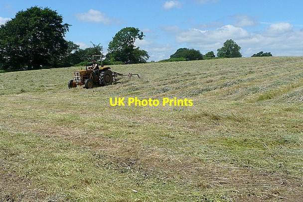 Photo 6"x4" Gathering the harvest Crich Carr c2012
