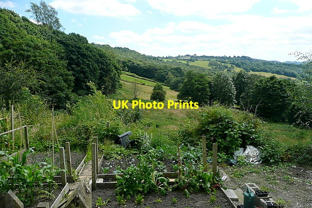 Photo 6"x4" Productive land at Upper Holloway Holloway\/SK3256 c2012