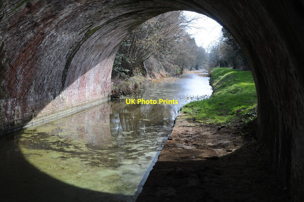 Photo 6"x4" The Gloucester and Hereford Canal and the Skew Bridge Monkhide c2013