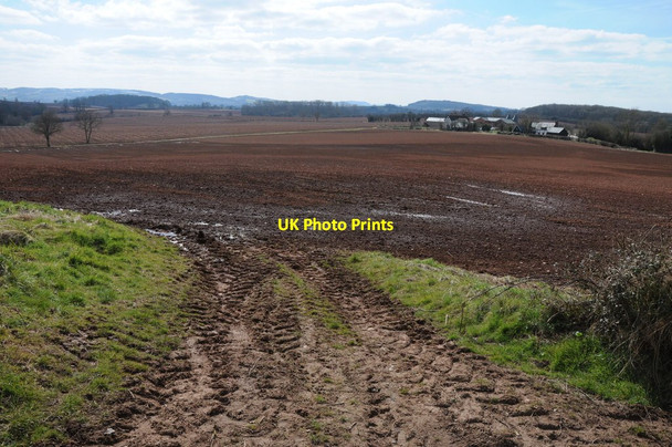 Photo 6"x4" Arable land near Hillend Farm Bridge End\/SO6246 c2013