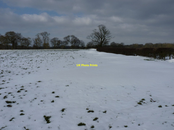 Photo 6"x4" Drifted snow and a hedge Lapley c2013