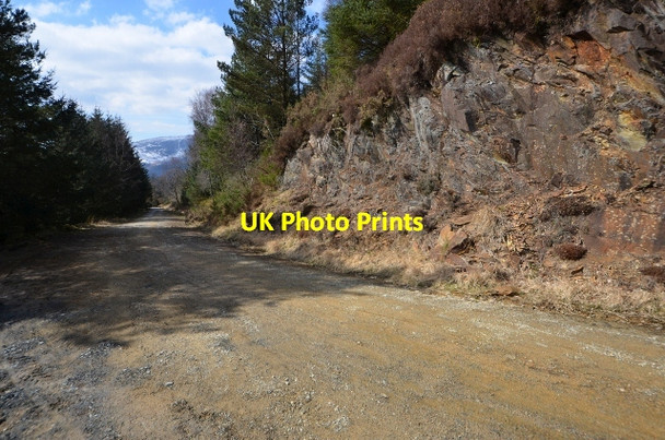 Photo 6"x4" Coed-y-Brenin Porphyry Cu-Mo Deposit - Phyllic Zone Ganllwyd\/SH7224 c2013