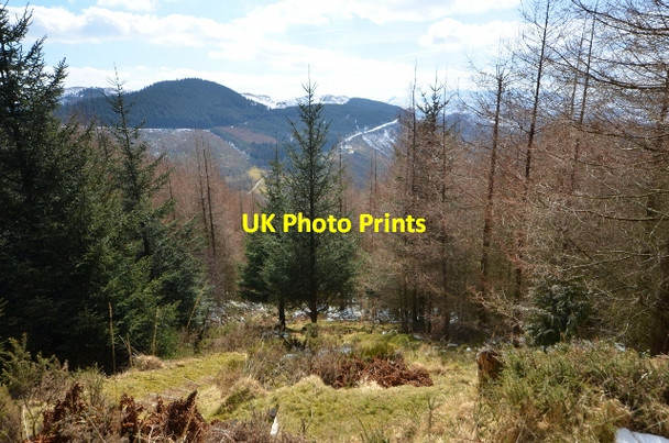 Photo 6"x4" Coed-y-Brenin Forest Ganllwyd\/SH7224 c2013