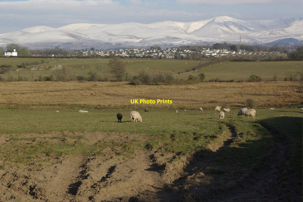 Photo 6"x4" Farmland near Star Llanfair Pwllgwyngyll c2013