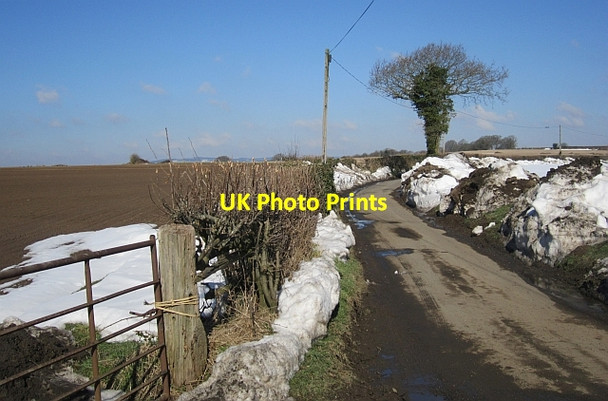 Photo 6"x4" Meaton Lane Far Forest c2013