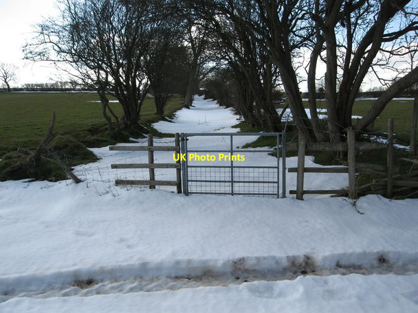 Photo 6"x4" Snow still lies in the bridleway Trelawnyd c2013