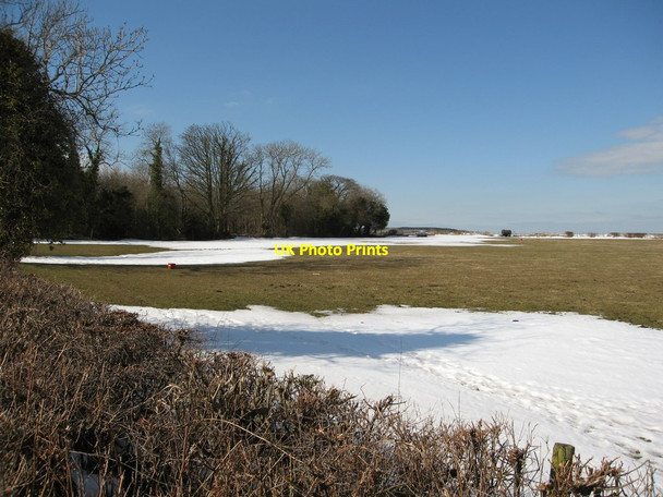 Photo 6"x4" Grazing field and Pen-y-rhos wood Marian\/SJ0979 c2013