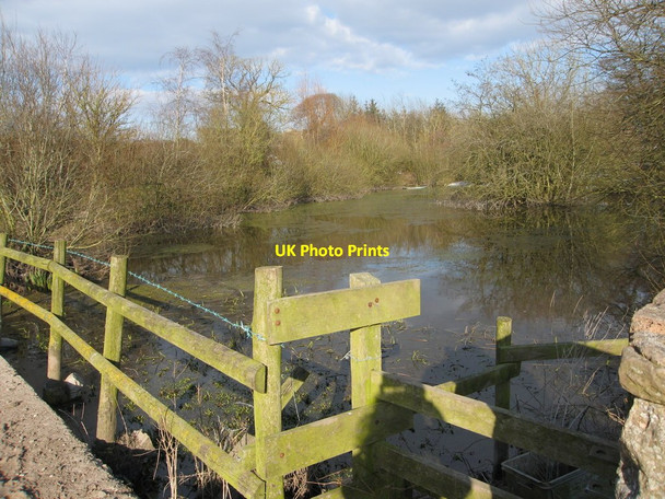 Photo 6"x4" Shallow lake beside the Clwydian Way Marian\/SJ0979 c2013