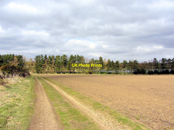 Photo 6"x4" Track south of Western Reservoir, Whittle Dene Harlow Hill\/NZ0768 c2013