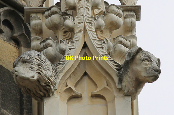 Photo 6"x4" Carved Dogs, Canterbury Cathedral Canterbury\/TR1457 c2013