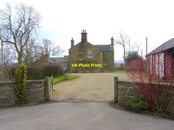 Photo 6"x4" Welton Farm Harlow Hill\/NZ0768 c2013