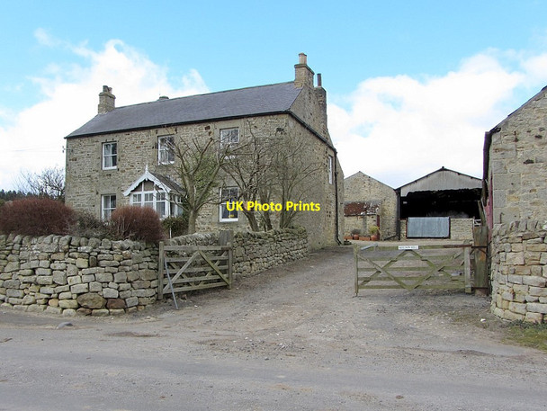 Photo 6"x4" Farmhouse, Shildon Hill Newton Hall\/NZ0365 c2013