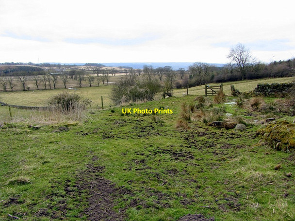 Photo 6"x4" Bridleway south of Shildonhill Newton Hall\/NZ0365 c2013