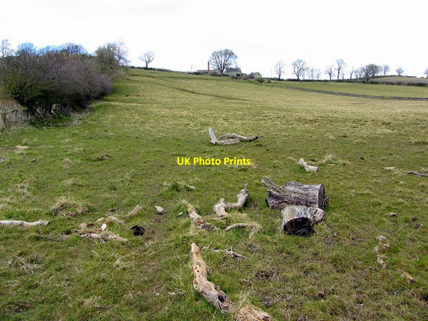 Photo 6"x4" Bridleway south of Shildonhill Farm Newton Hall\/NZ0365 c2013