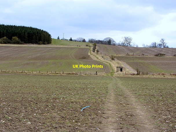 Photo 6"x4" Bridleway to Newton Newton Hall\/NZ0365 c2013