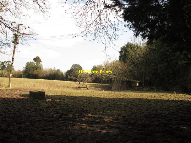 Photo 6"x4" Paddock off Wyatts Lane Horsted Keynes c2013