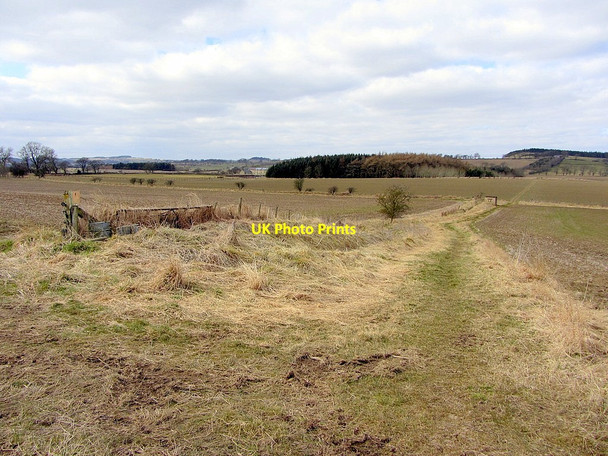 Photo 6"x4" Bridleway north of Newton Newton Hall\/NZ0365 c2013