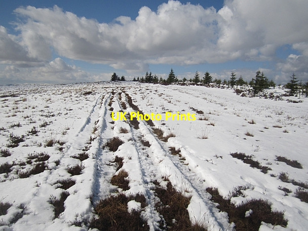 Photo 6"x4" Moorland above Philip Hope Broadmeadows\/NT4130 c2013