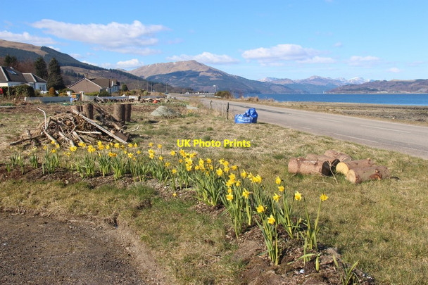 Photo 6"x4" Spring comes to the North end of Blairmore Blairmore\/NS1982 c2013