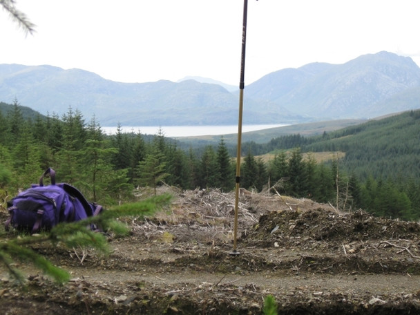 Photo 6"x4" Edge of track with cleared forestry beyond: Loch Linnhe with Ardgour beyond Coire Dubh\/NN0252 c2008