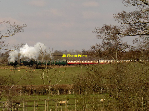 Photo 6"x4" Bluebell train heading north-west Scayne's Hill c2013