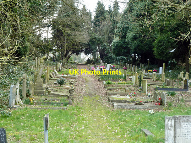 Photo 6"x4" In St. Pancras and Islington Cemetery Finchley c2013