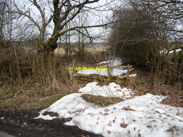 Photo 6"x4" Unmelted snow, Manor House Lane Alwoodley Gates c2013