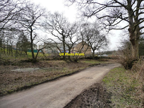 Photo 6"x4" Pond alongside Manor House Lane Alwoodley Gates c2013